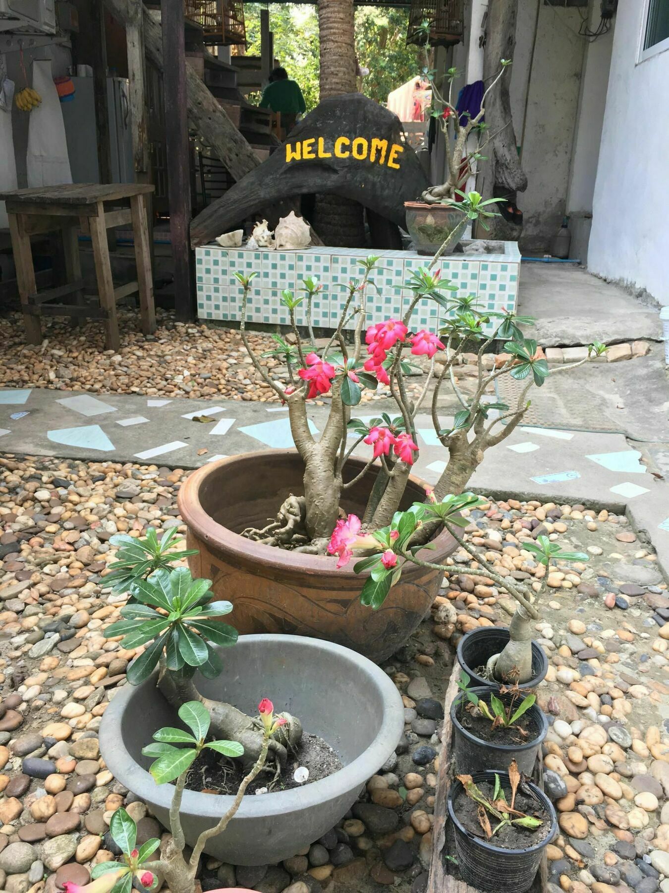 Miss Hong House Hotel Szamed-sziget Kültér fotó